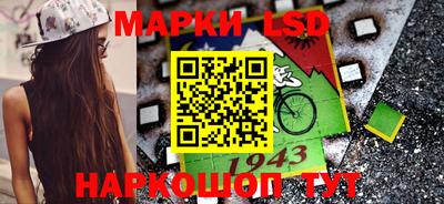 шишки Донской