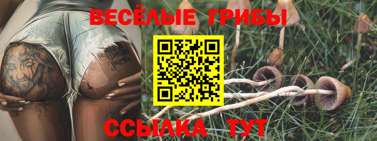 Псилоцибиновые грибы Cubensis  Вход с VPN  Лысьва 